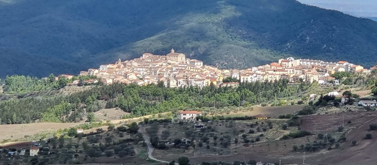 Il borgo di Accettura disteso sul crinale, circondato da boschi e campi.